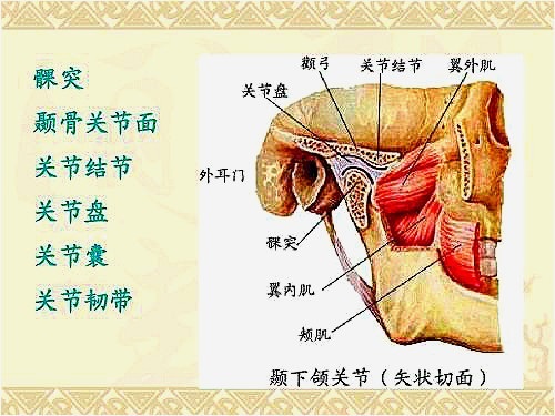 颞下颌关节炎吃什么药