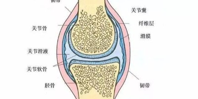 滑膜是什么？滑膜炎是怎么引起的？